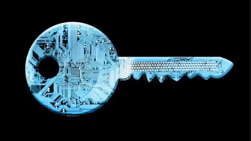 BOB Space Self Custody Month