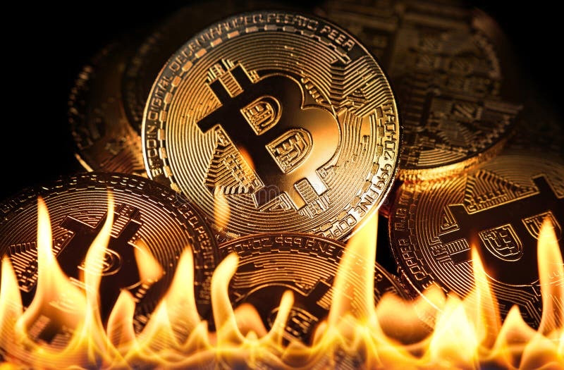 Bitcoin Montgomery for Women and Friends