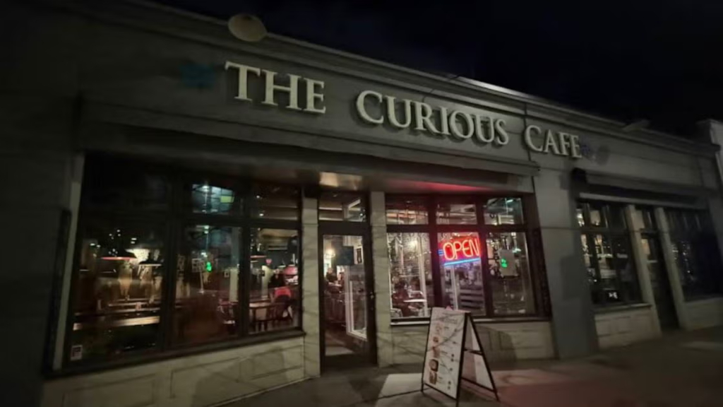 The Curious Cafe
